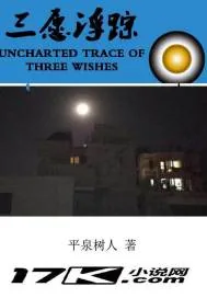 《三愿浮踪》封面
