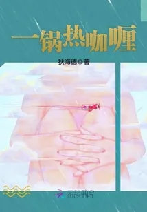 《一锅热咖喱》封面