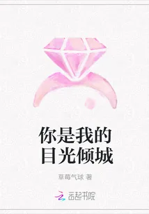 《你是我的目光倾城》封面