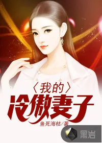 《我的冷傲妻子》封面