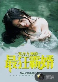 《高冷女神的最狂霸婿》封面