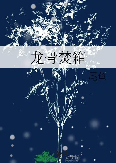 《龙骨焚箱》封面