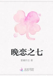 《晚恋之七》封面