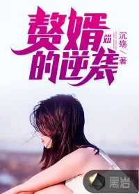 《赘婿的逆袭》封面