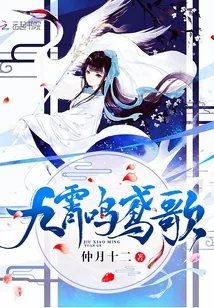 《九霄鸣鸢歌》封面