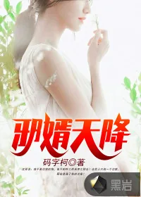 《邪婿天降》封面