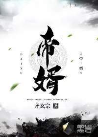 《帝婿》封面