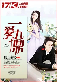 《一爱九鼎》封面