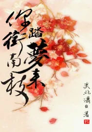《你衔南枝踏梦来》小说封面