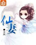 《仙妻》封面