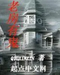 《老房有鬼》封面