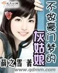 《不做豪门梦的灰姑娘》封面
