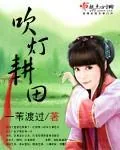 《吹灯耕田》封面