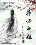 《蒋四小姐》封面