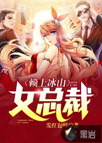 《赖上冰山女总裁》封面