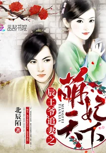 《辰王爷追妻之萌妃天下》封面