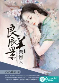 《良辰美景奈何天》封面