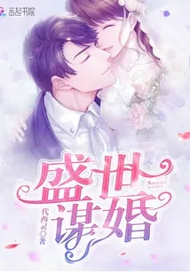 《盛世谋婚》封面