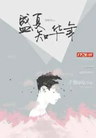 《盛夏知华年》封面