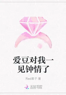《爱豆对我一见钟情了》封面