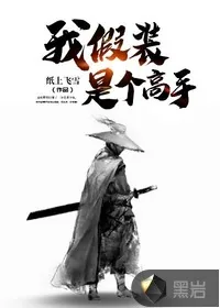 《我假装是个高手》封面