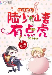 《陆少仙妻有点虎》封面