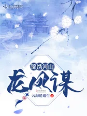 《锦绣河山龙凤谋》封面
