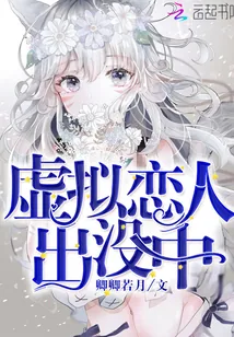 《虚拟恋人出没中》封面