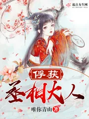 《俘获丞相大人》封面