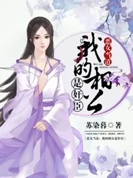 《恶女当道：我的相公是奸臣》封面