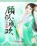 《顾盼成欢》封面