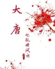 《大唐之乱世风云》封面