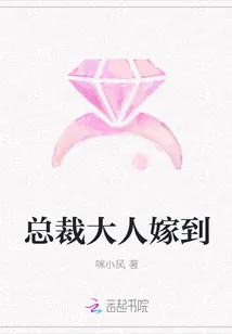 《总裁大人嫁到》封面
