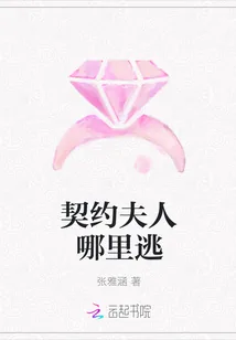 《契约夫人哪里逃》封面