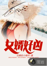 《女婿好凶》封面