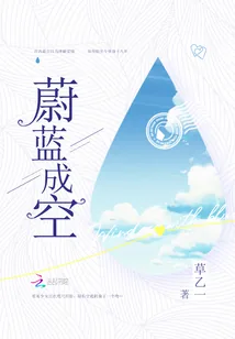 《蔚蓝成空》封面