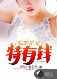《我的岳父特有实力》封面