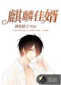 《麒麟佳婿》封面