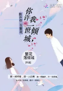 《你许我一世倾城我许你一生繁花》封面