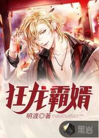 《狂龙霸婿》封面