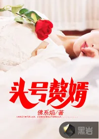 《头号赘婿》封面