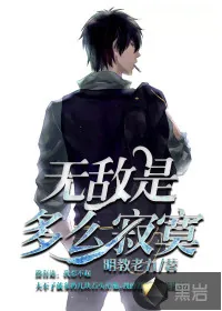 《无敌是多么寂寞》封面