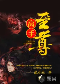 《至尊高手》封面
