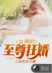 《女神的至尊狂婿》封面