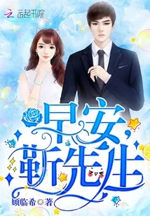 《早安，靳先生！》封面
