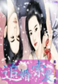 《追婚索爱》封面