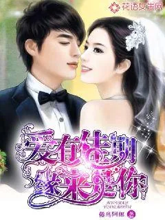 《爱有佳期，缘来是你》封面