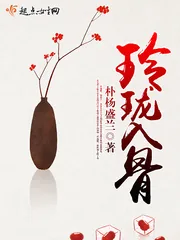 《玲珑入骨》封面
