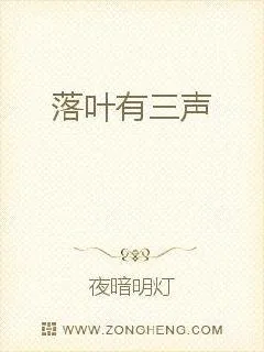 《落叶有三声》封面