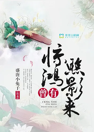 《曾有惊鸿照影来》小说封面